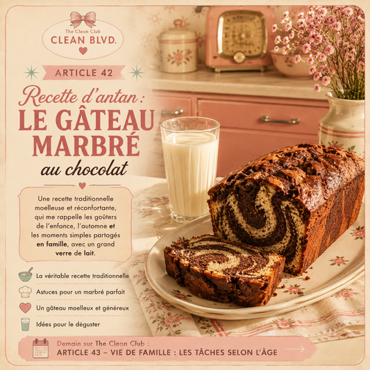 ARTICLE 42 : Le gâteau marbré au chocolat